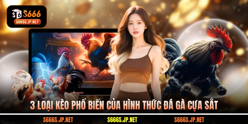 3 loại kèo phổ biến của hình thức đá gà cựa sắt