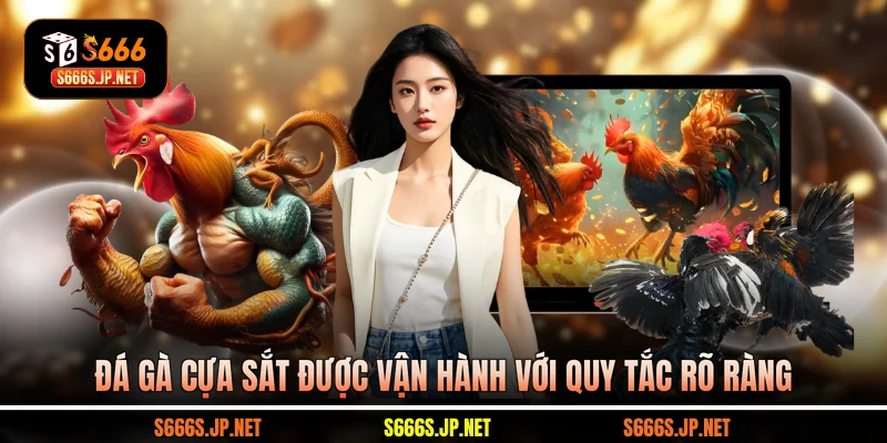 Đá gà cựa sắt được vận hành với quy tắc rõ ràng
